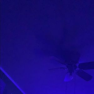 Meet your Posher, Cohen